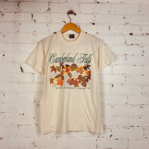 Vintage Cumberland Falls Tee (Small/Medium)