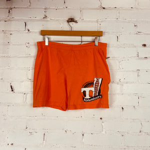 Vintage University of Tennessee Shorts (Small)